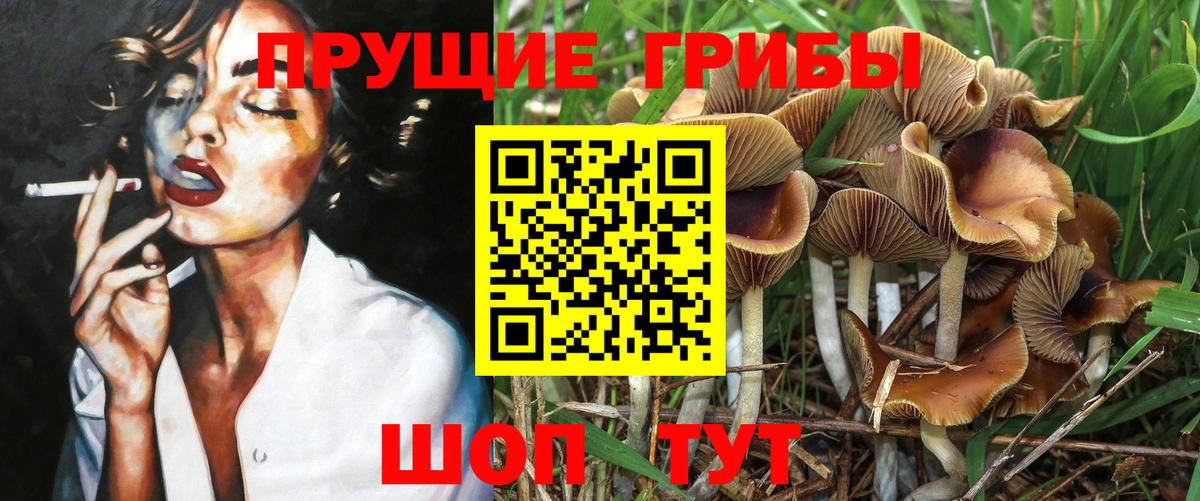Галлюциногенные грибы MAGIC MUSHROOMS  Вход с VPN  Уссурийск  Псилоцибиновые грибы Cubensis 